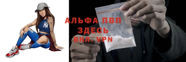 таблы Богданович