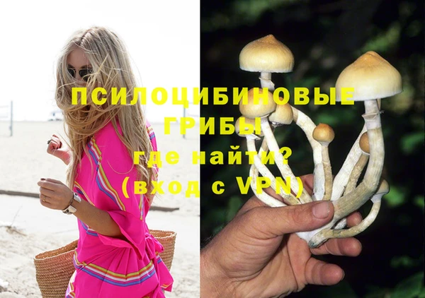 не бодяженный Богородицк