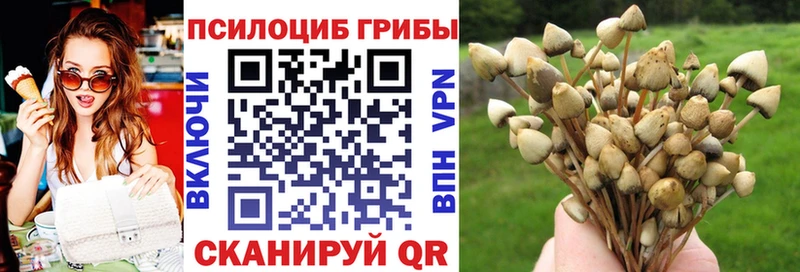 Галлюциногенные грибы мицелий где можно купить наркотик Наро-Фоминск
